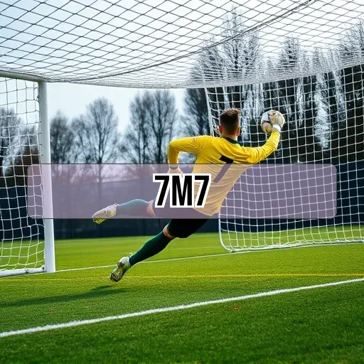 7m7.com Loteria