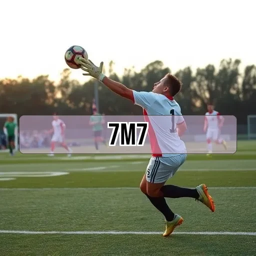 7m7.com Notícias